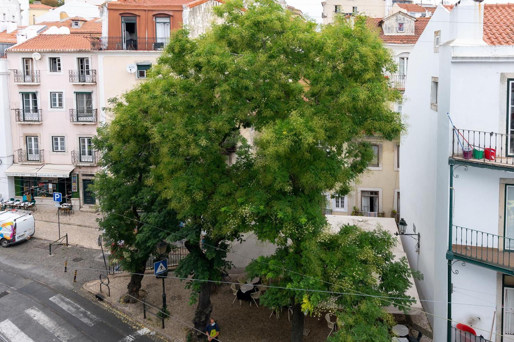 Portas Do Ceu Διαμέρισμα Lisboa Δωμάτιο φωτογραφία
